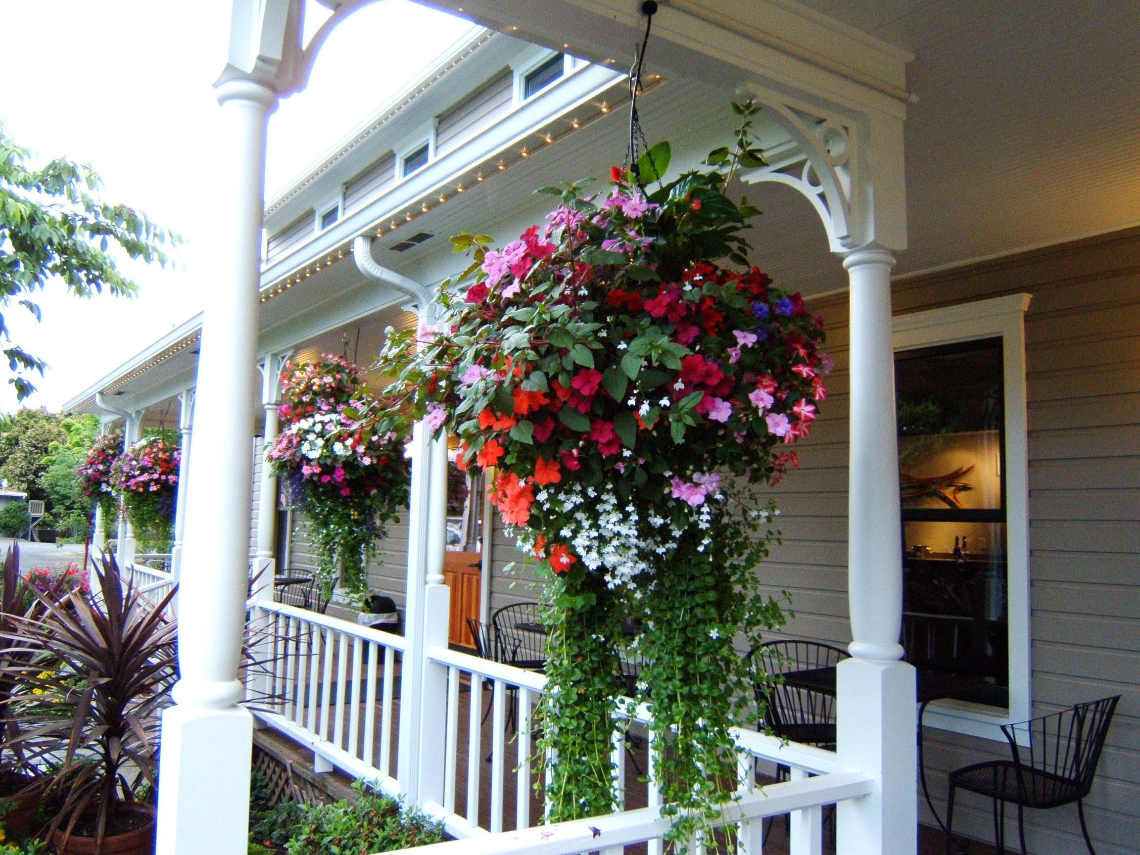 20" Hanging Basket for Oregon