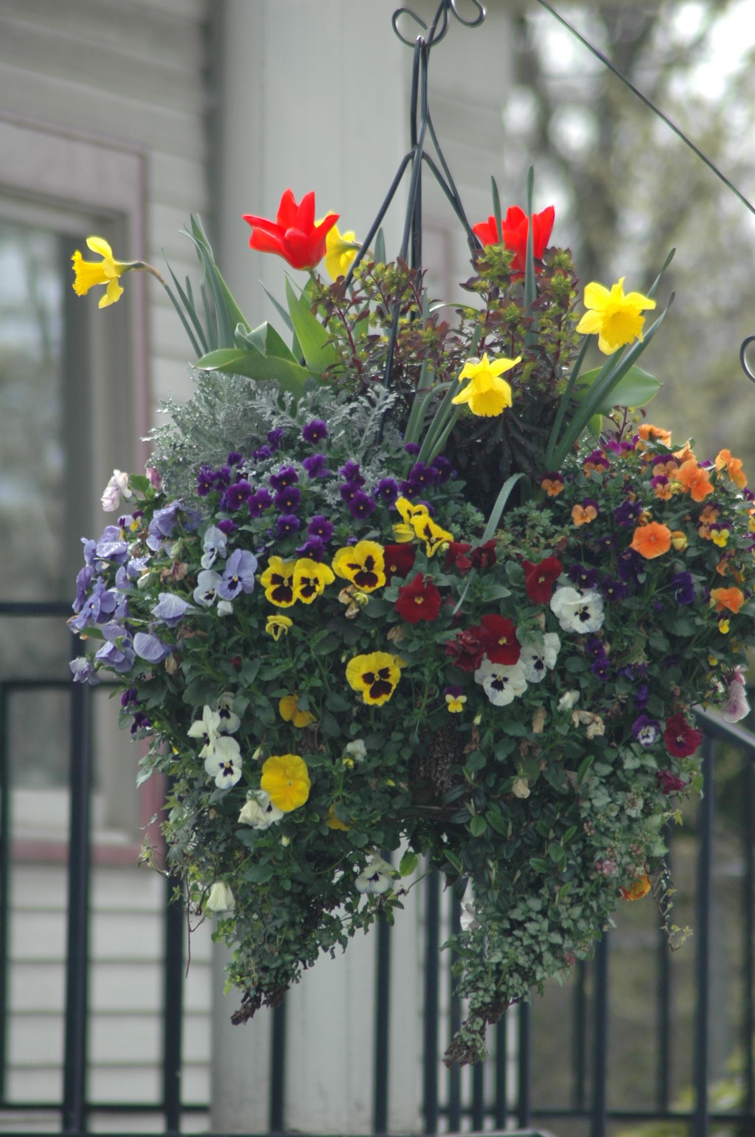 24" Oregon Winter Basket