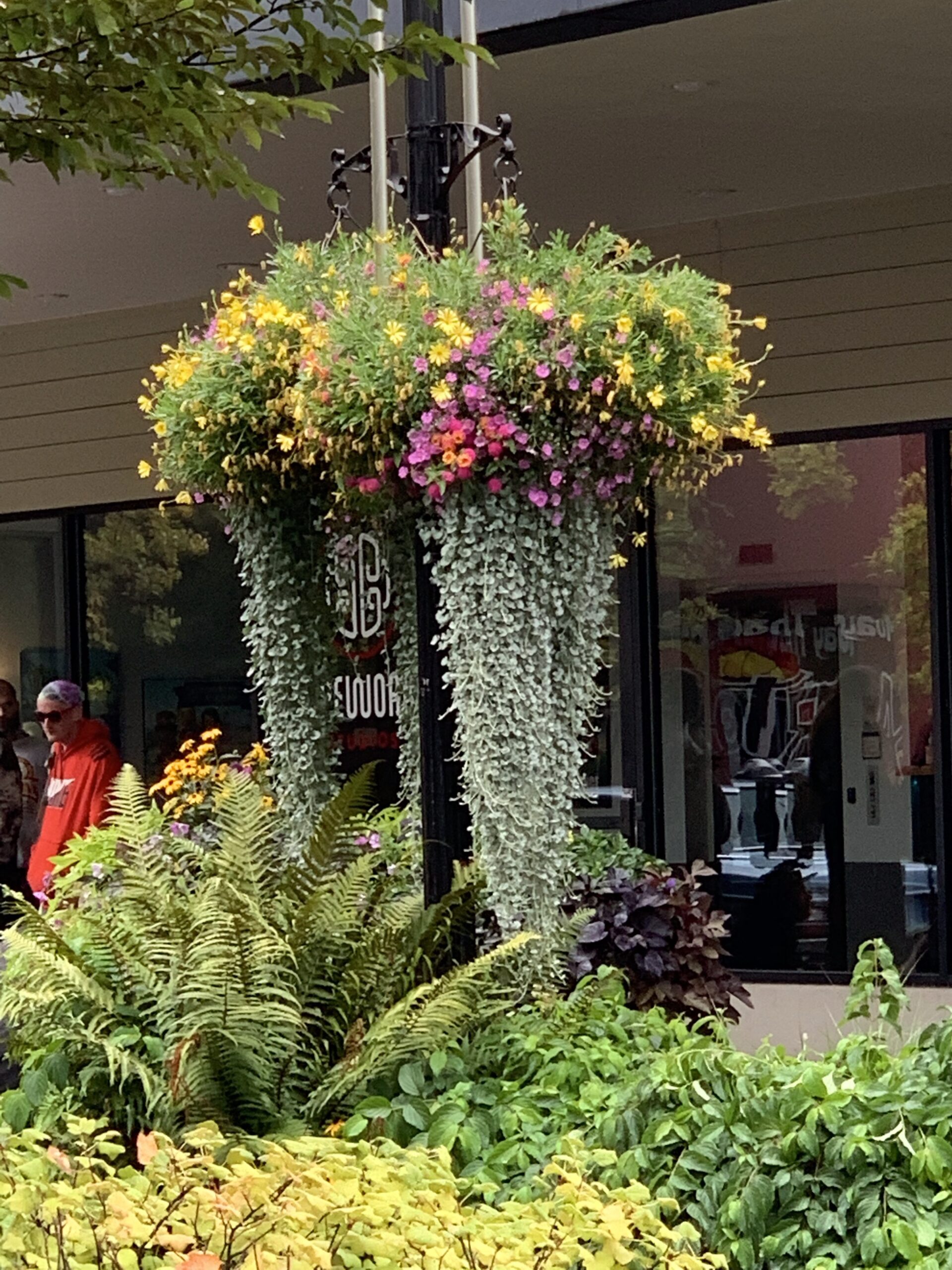 hanging basket of spring flowers