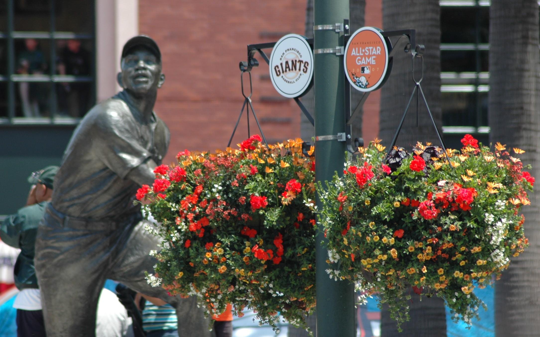 24" Hanging Basket for California