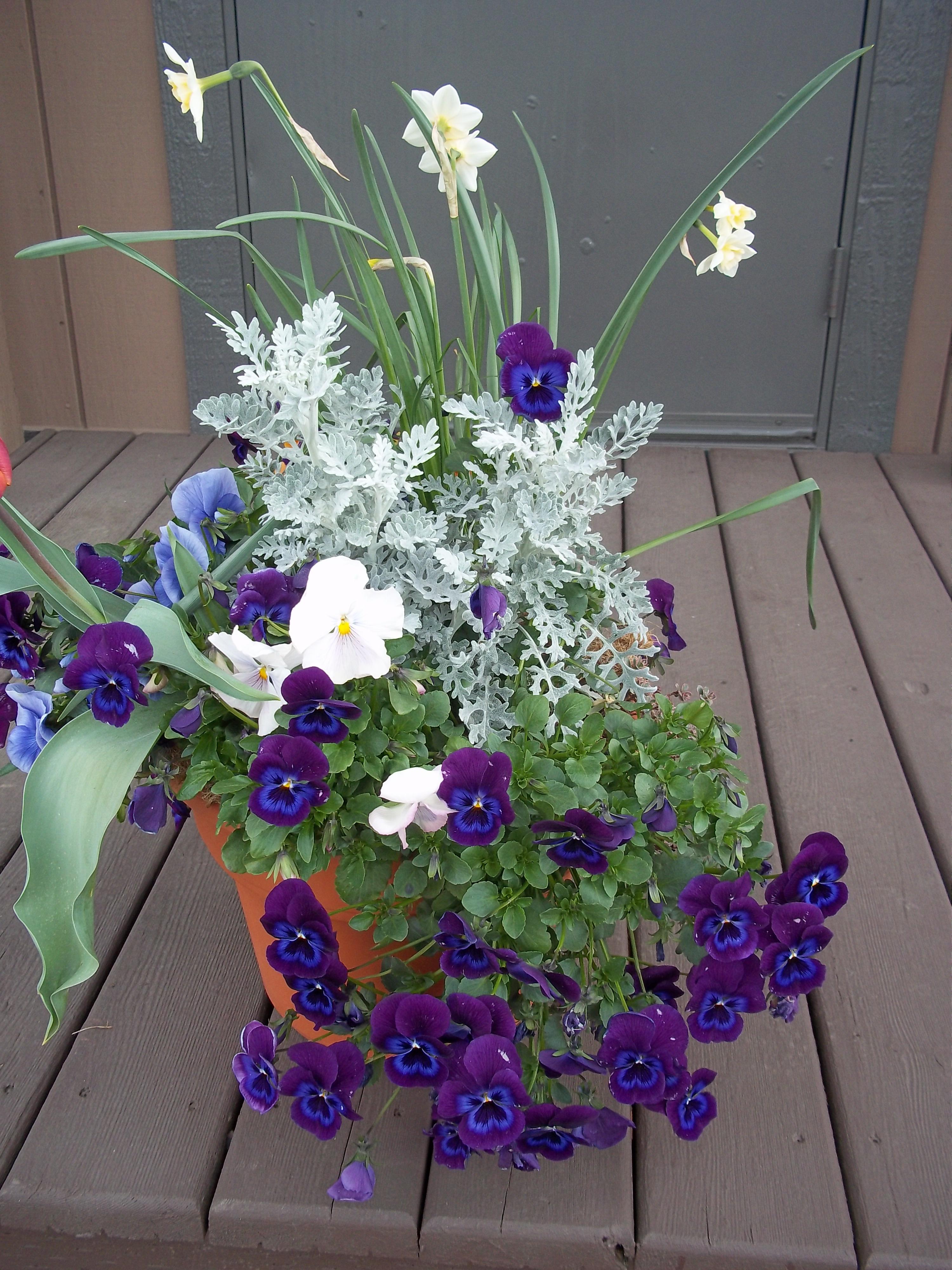 16" Oregon Winter Basket